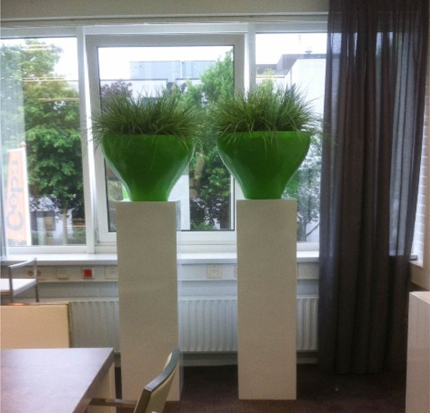 receptie bruil